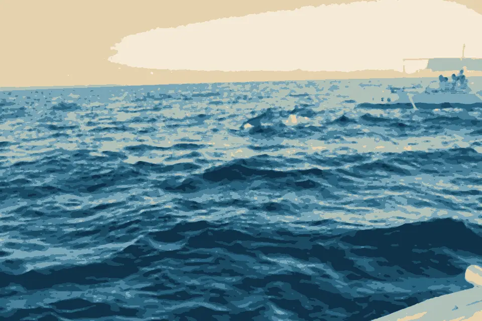Alona Beach: Dolphins ahead of Alona Beach - panoramio