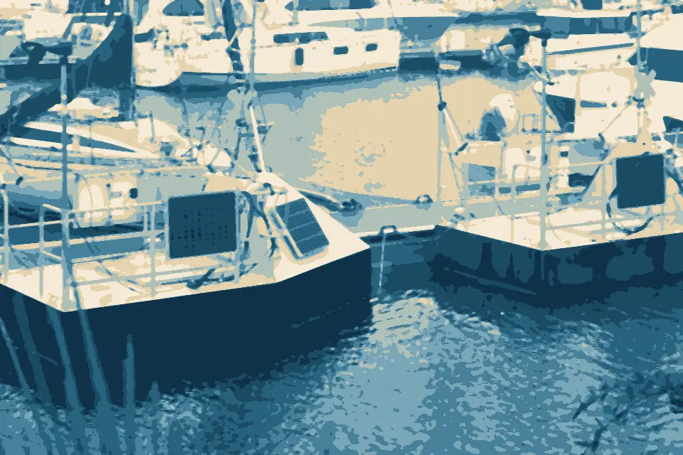 Anse du Moulin Blanc: RTSYS IROMI floating labs