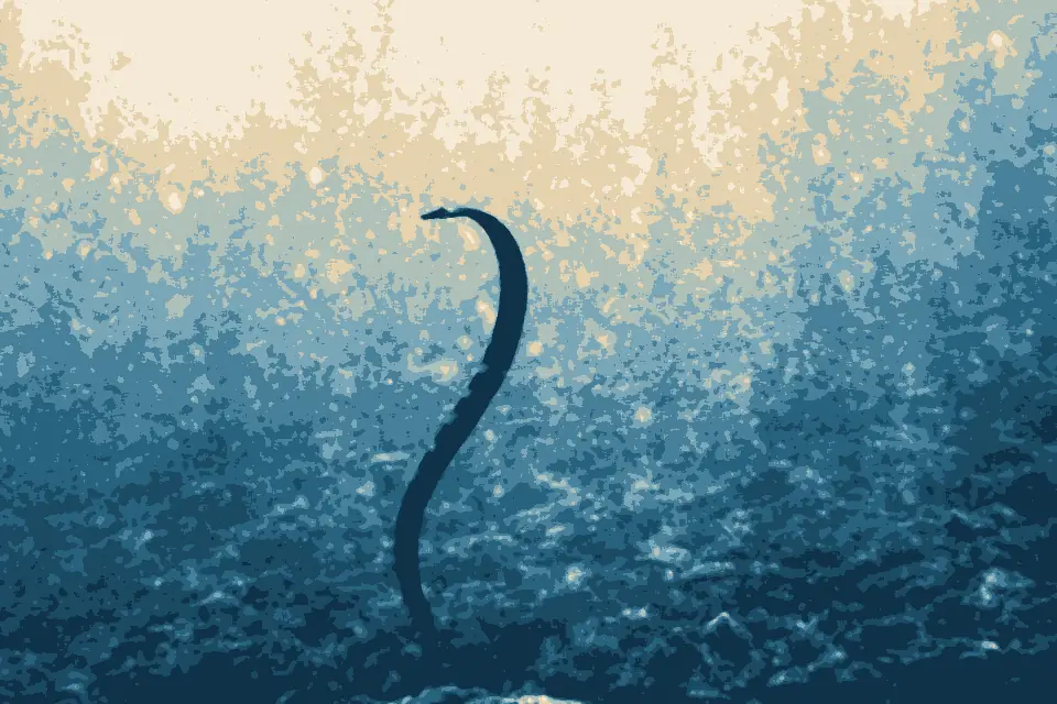 Avatele Beach: Sea Snake Niue