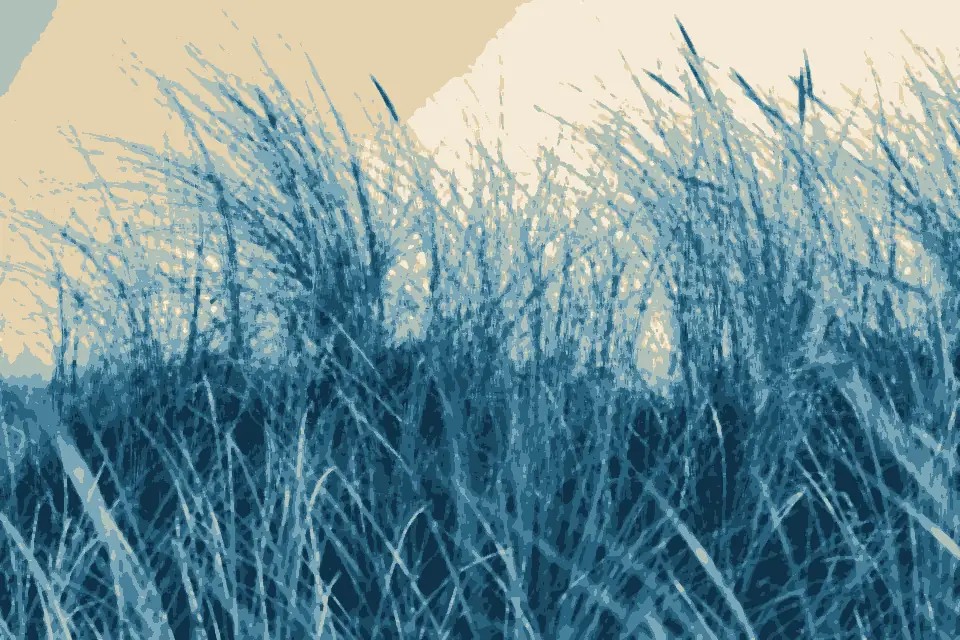 Badestrand: Juist, Dünen -- 2014 -- 3506
