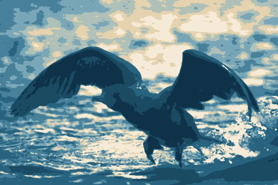 Baywood Park Beach: Double-crested Cormorant