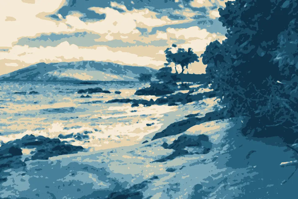 Charley Young Beach: Kihei coast