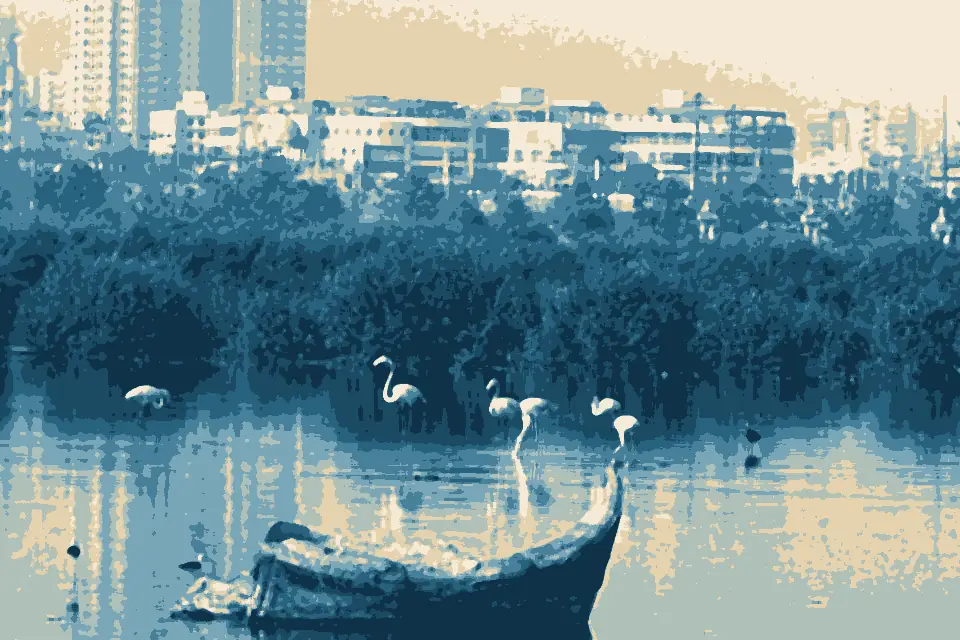 Clifton Beach: Lagoon Near Clifton Urban Forest