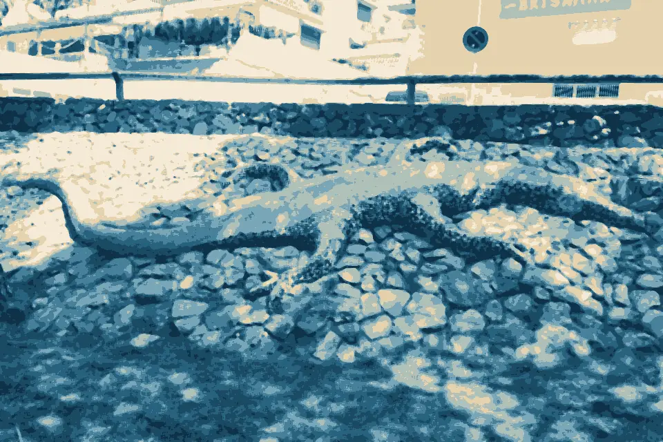 Dosmares Beach: Mosaico de la cala del Pino (20200722 122207)