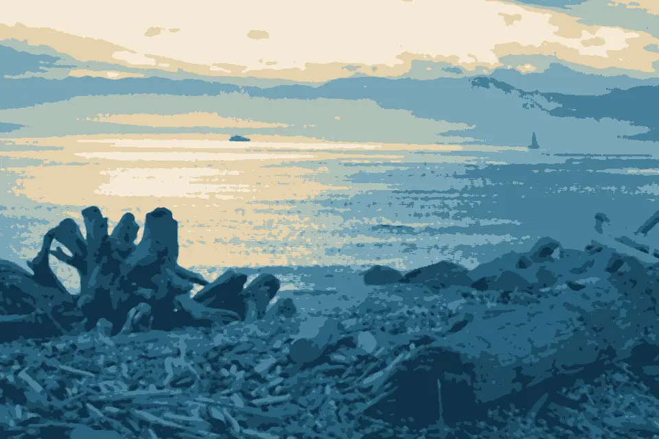 Gonzales Bay: Driftwood beach (1360196712)