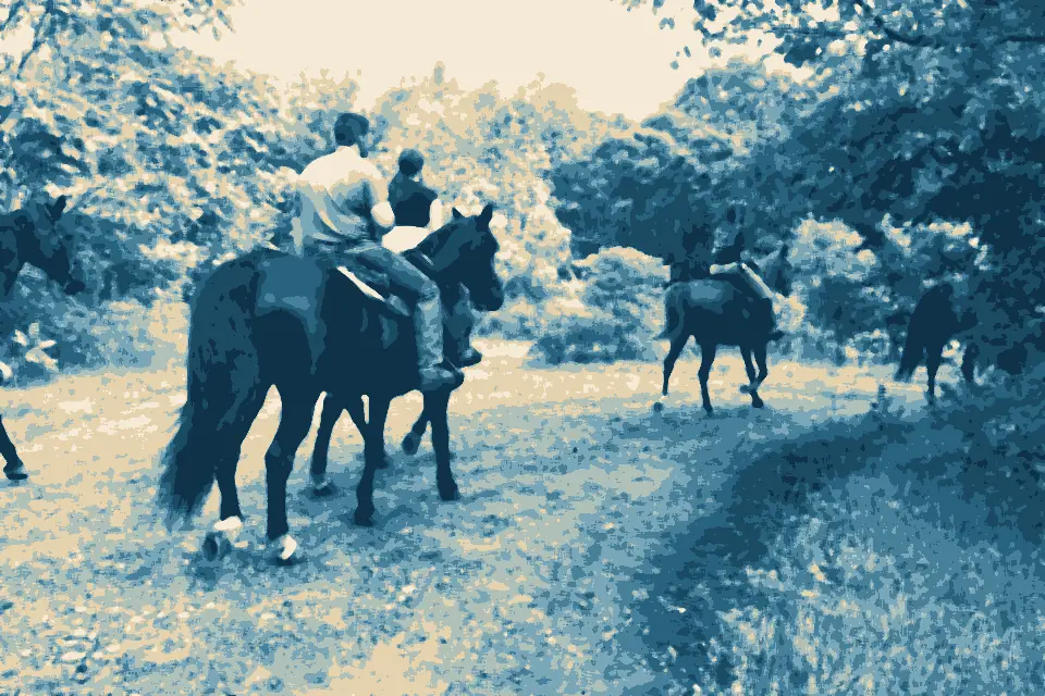 Groton Beach: Equestrians on the Groton X-Town Trail in Bluff Point State Park and Coastal Reserve