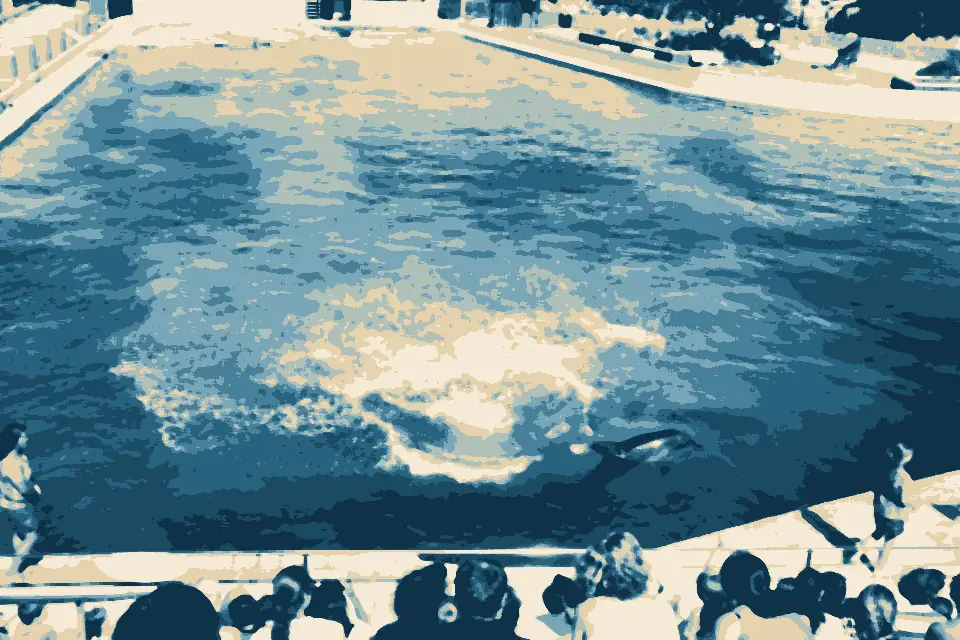 Humewood Beach: Bayworld-dolphins-001