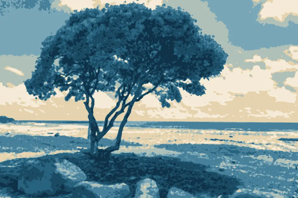 Keālia Beach: Beach Kealia Kauai Hawaii (44460709520)