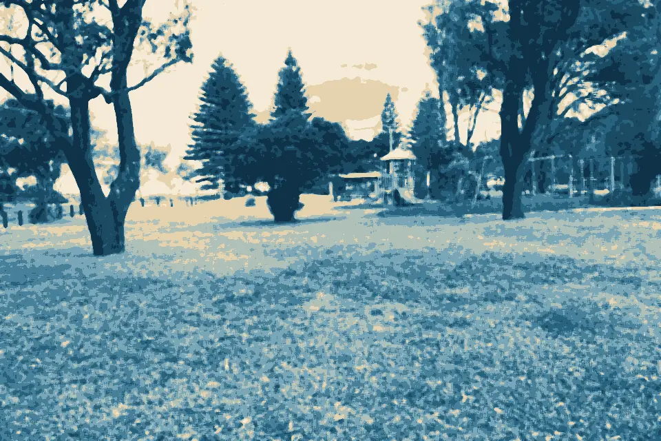 Korora Beach: Hills beach reserve 2022