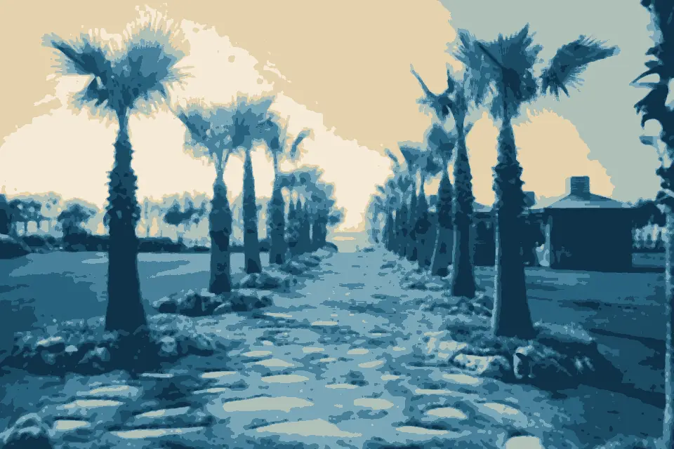 Kumköy Plajı: Path to the sea among palm trees - panoramio