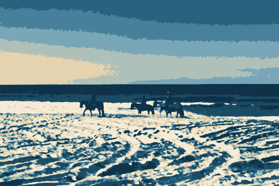 Laguna Bay: Recreational horse riding on beaches at Noosa North Shore, Queensland 03
