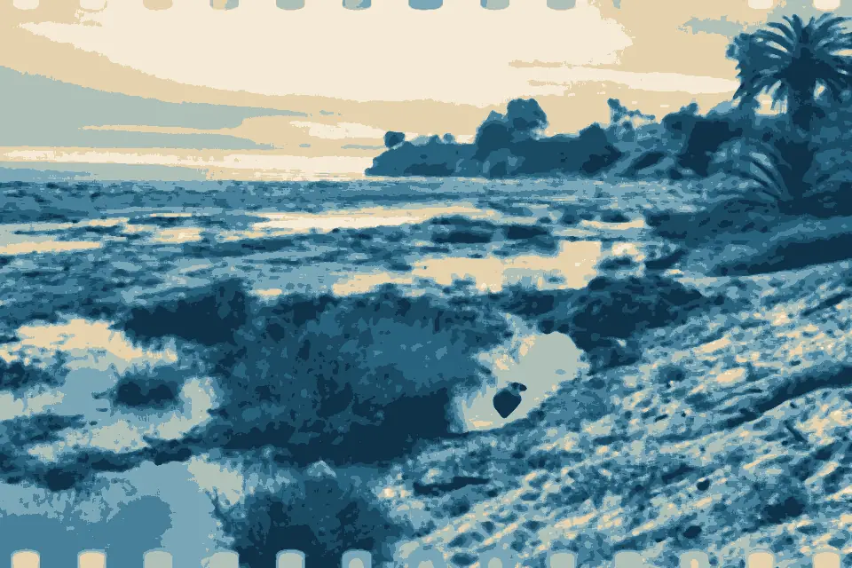 Leadbetter Beach: Soggy (6680798151)