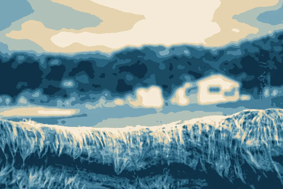 Lyall Bay: Rain Soaked Drift Wood (45499682)