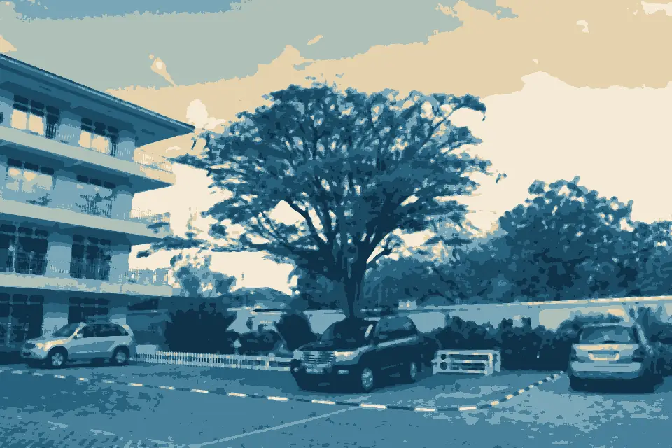 Msimbazi Bay: Oyster Bay, Dar es Salaam, Tanzania - panoramio (1)