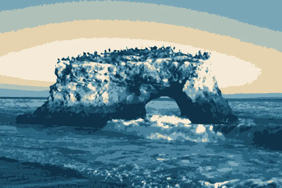 Natural Bridges State Beach: USA-Santa Cruz-Natural Bridges State Beach-4