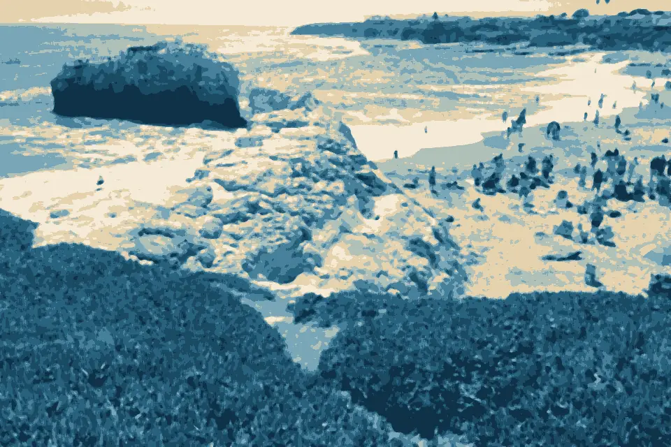 Natural Bridges State Beach: Santa Cruz Natural Bridges beach