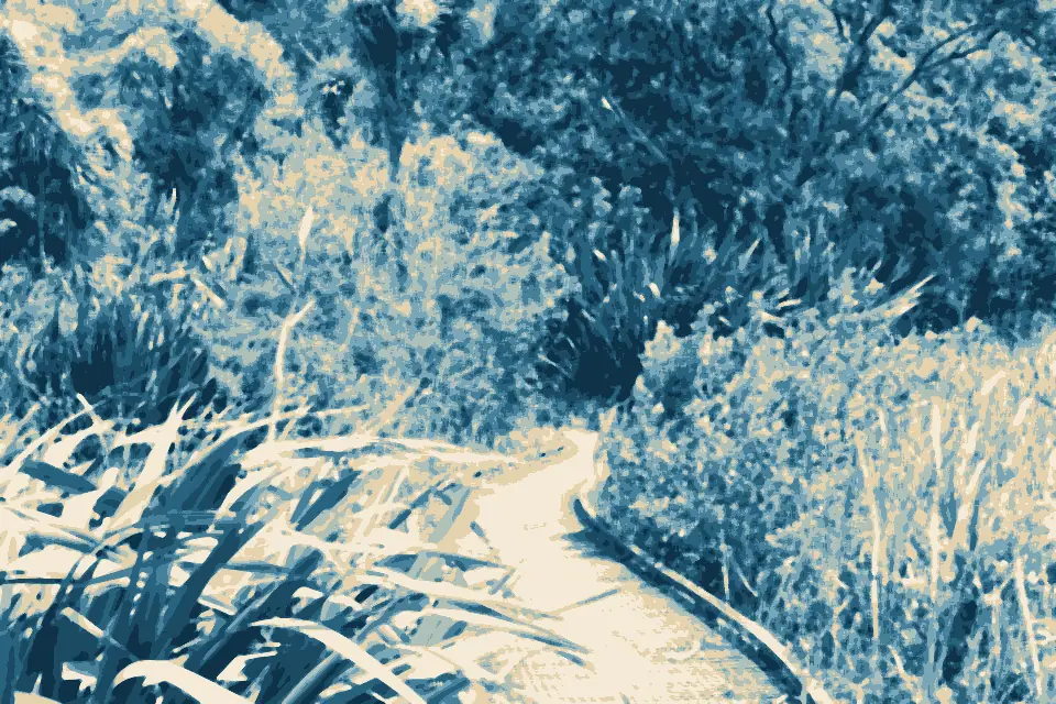 Onetaunga Bay: Boardwalk at Kendall Bay swamp