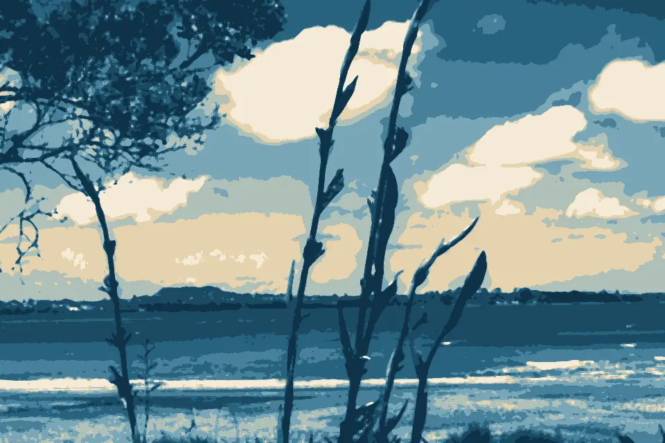 Onetaunga Bay: New Zealand flax and Waitematā Harbour from Kendall Bay