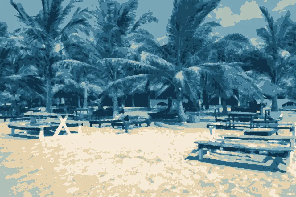 Ospery Beach: Paradise Beach (23842149691)