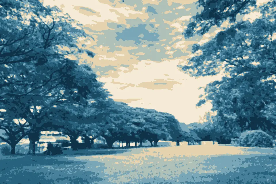 Pasir Ris Beach: Field ringed by trees at Pasir Ris Park