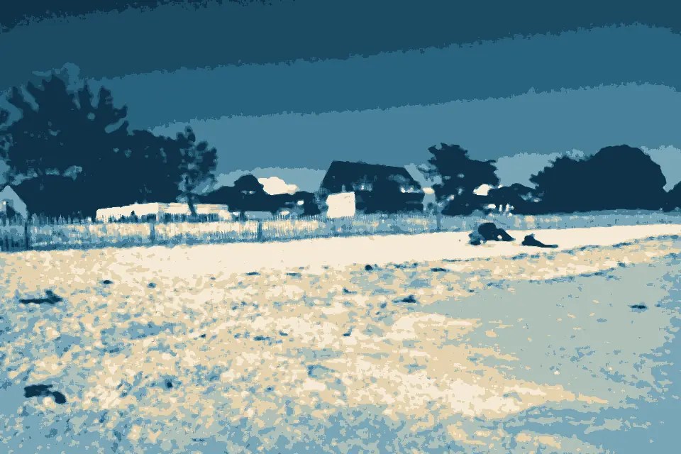 Plage de Carnac: Carnac , la grande plage - panoramio (1)