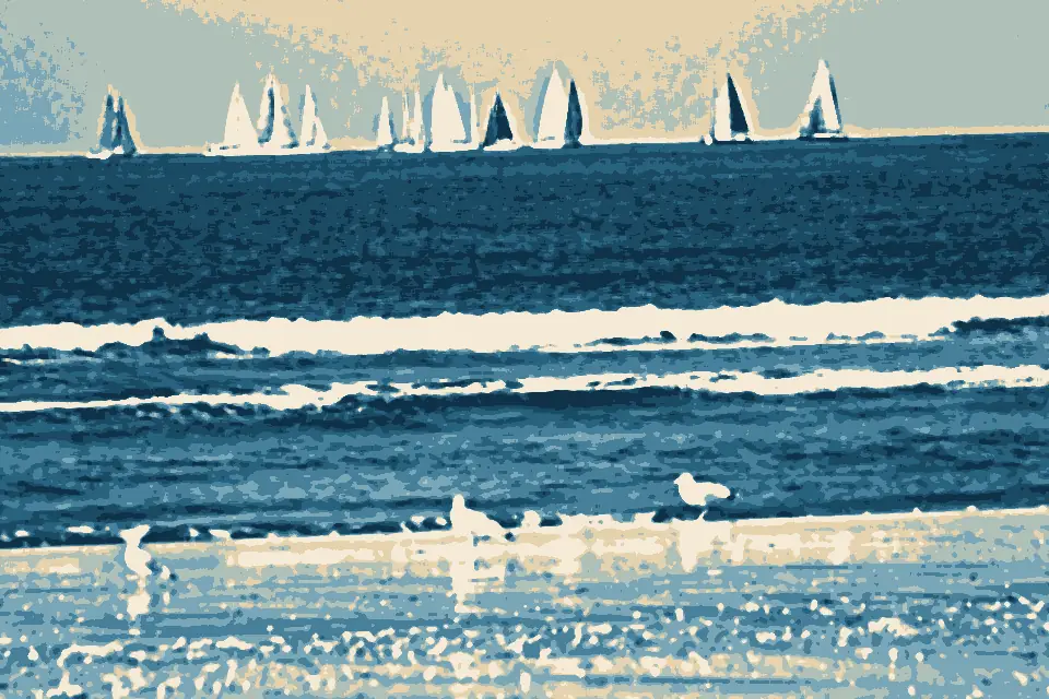 Plage de Deauville: Deauville-Mouettes et Régate-20120915