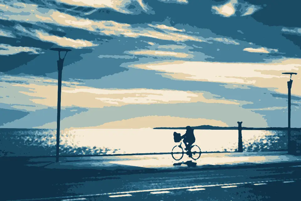Plage de Galets: ET Bicycle ride (32419535335)
