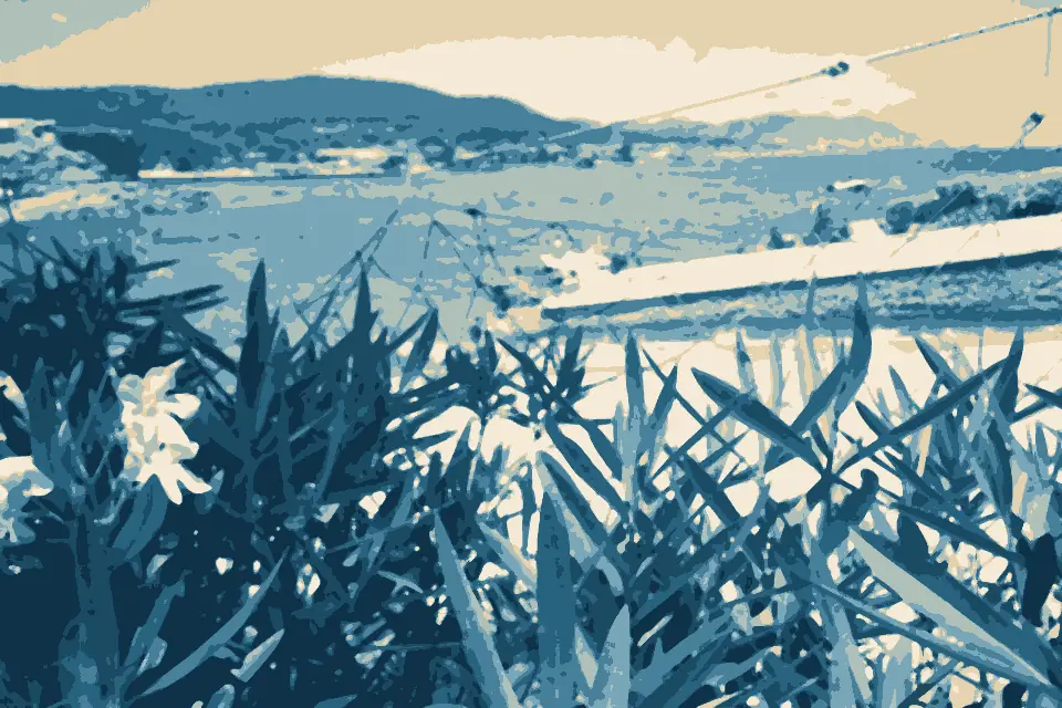 Platja Pou d'es Lleo: Es Pou des Lleo Beach Saturday 22 June 2013 (10)