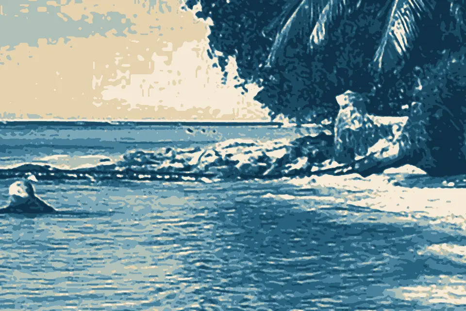 Playa Bonita: Playa Bonita DR banner