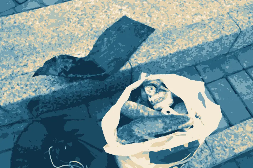 Playa de las Canteras: Rubbish collected in Las Canteras's beach 02