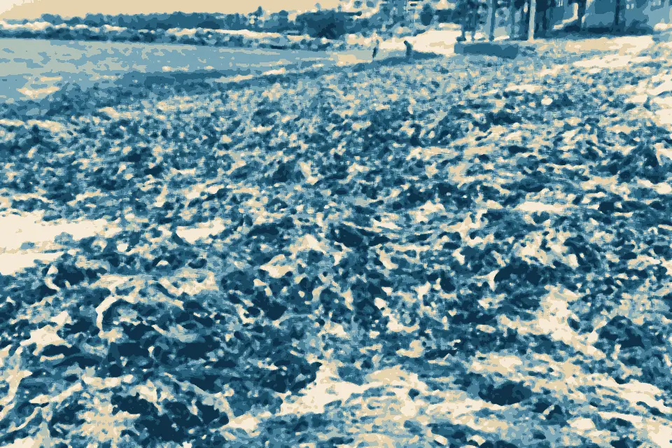 Playa el Anclote: Algas muertas en la playa - panoramio