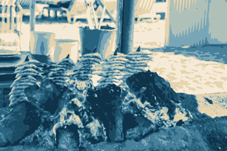 Playa Fuengirola: Anchovies Cooking on the BBQ (48847403821)