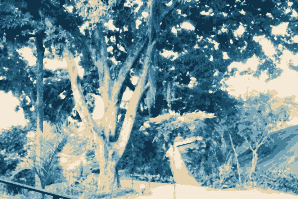 Praia Commprida: Parque Municipal Von Schilgen