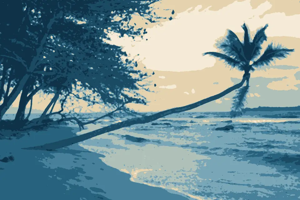 Praia Inhame: INH - Leaning palm tree on Praia Inhame, Sao Tome, 2021
