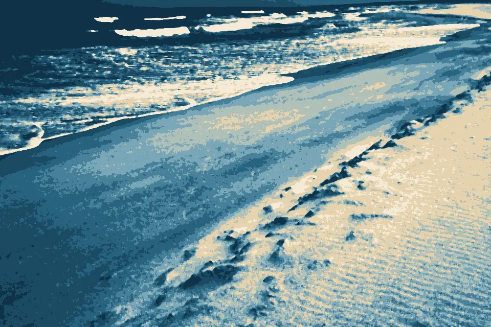 Seven Mile Beach: Fine white sands of Seven Mile Beach National Park, New South Wales, Australia