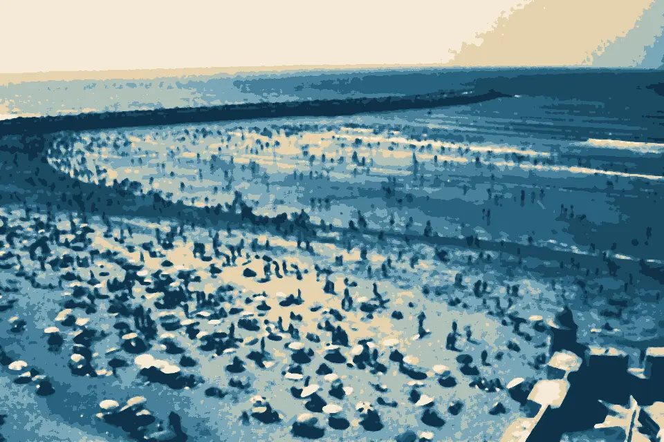 Shāţi’ ar Ribāţ: Beach Rabat - panoramio