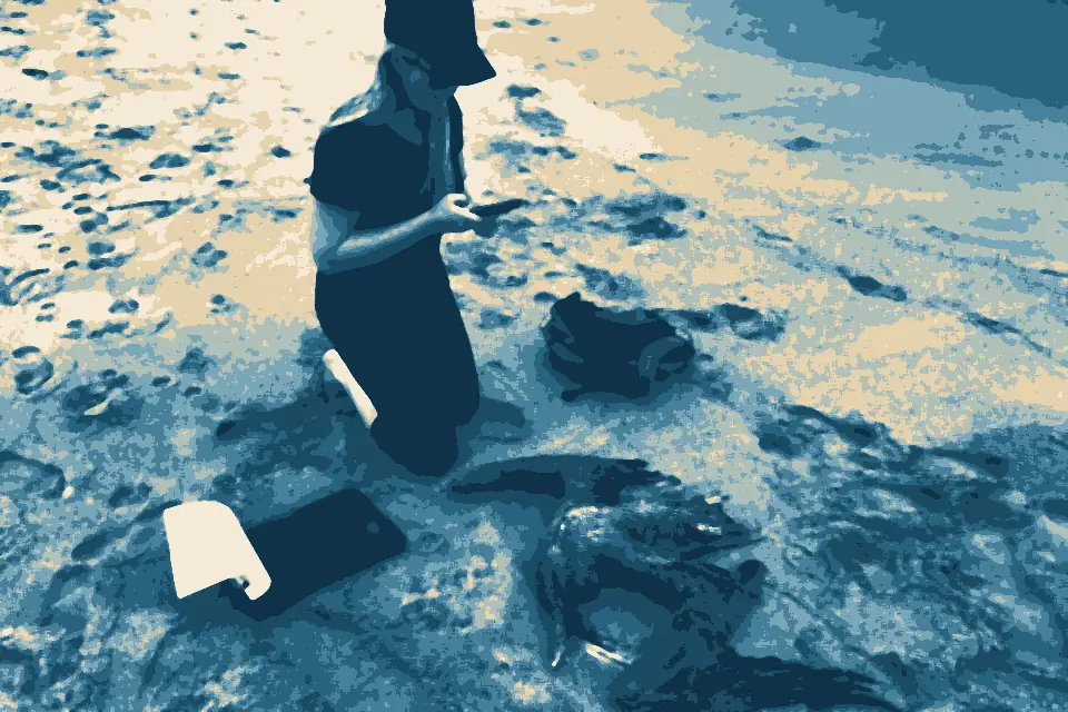 Silver Strand Beach: Andrea Dransfield, a BeachCOMBERS volunteer, examines a California brown pelican found on Silver Strand beach during her monthly survey. (35549064043)