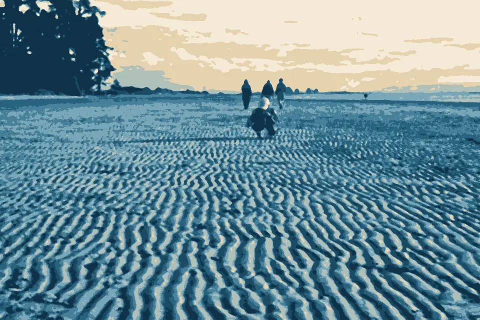 Tahunanui Beach: Tahunanui Beach (30119527)