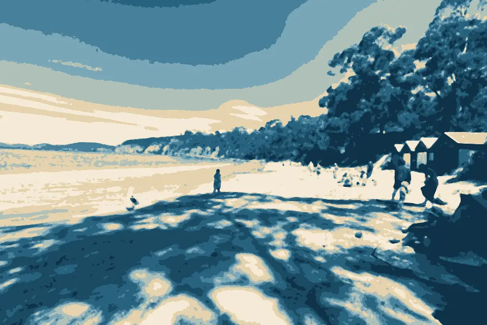 Taroona Beach: Hinsby Beach-combing
