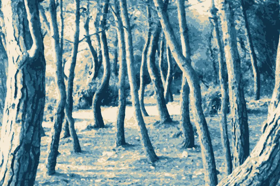 Uvala Kaštelan: LES PRI PLÁŽI - FOREST BY THE BEACH - panoramio
