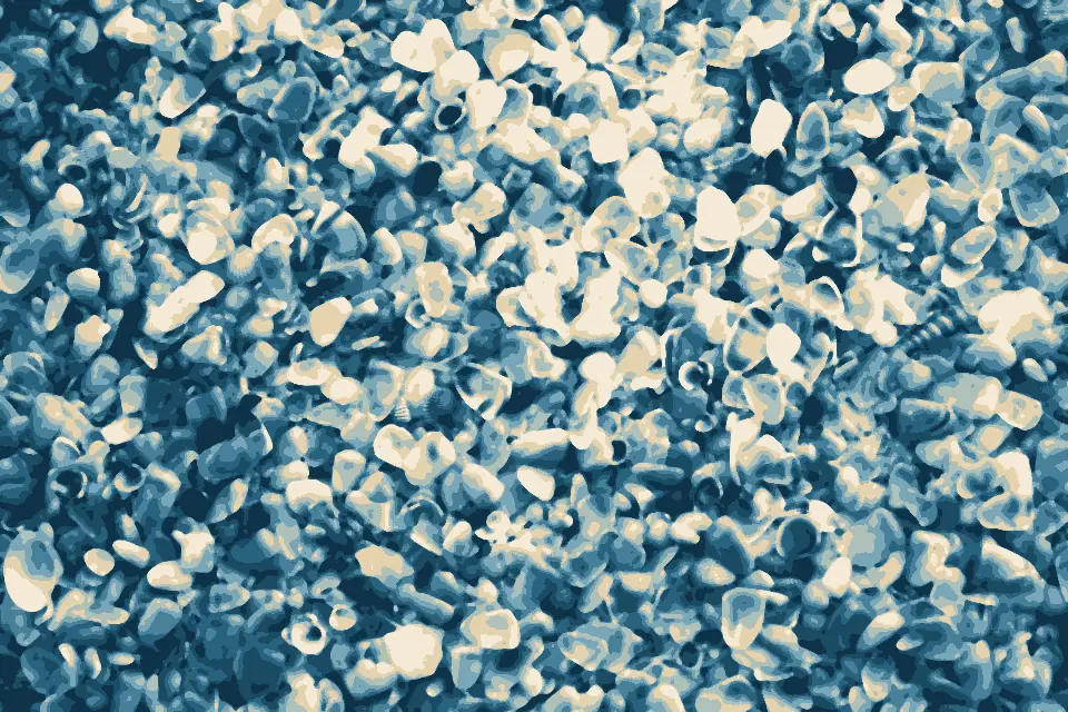 Varca Beach: Whole Lotta Shells - Goa, India - Flickr - gregor y