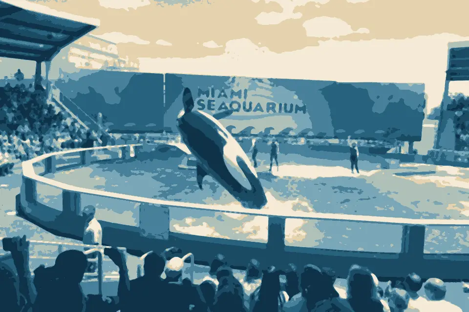 Virginia Beach: MiamiSeaquarium-KillerWale