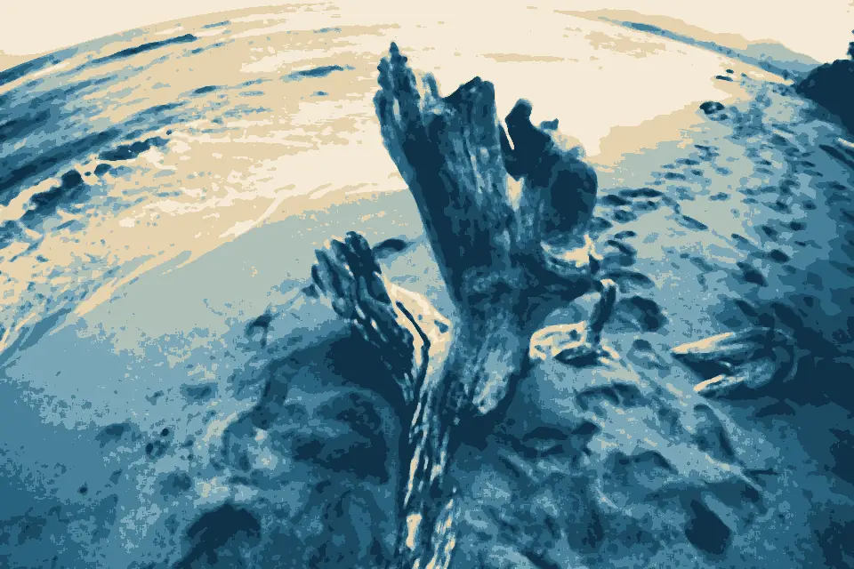 Wailua Beach: Driftwood in Wailua, Hawaii (38332601122)